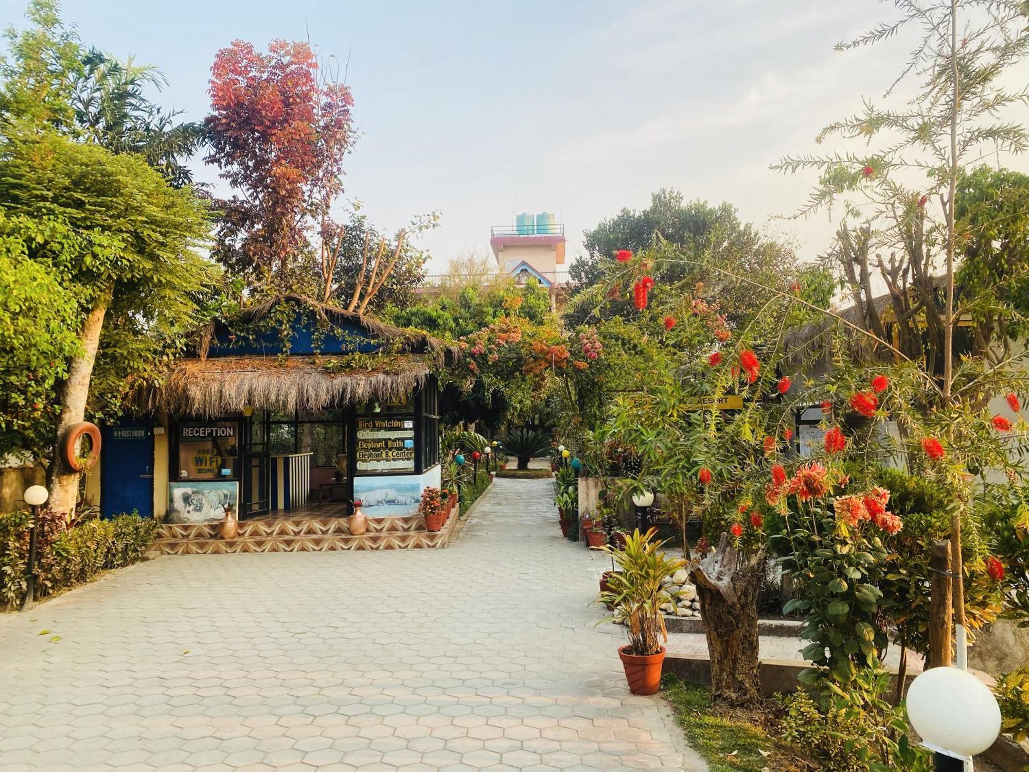 Eco Adventure Resort Sauraha Exterior foto