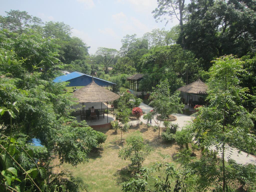 Eco Adventure Resort Sauraha Exterior foto