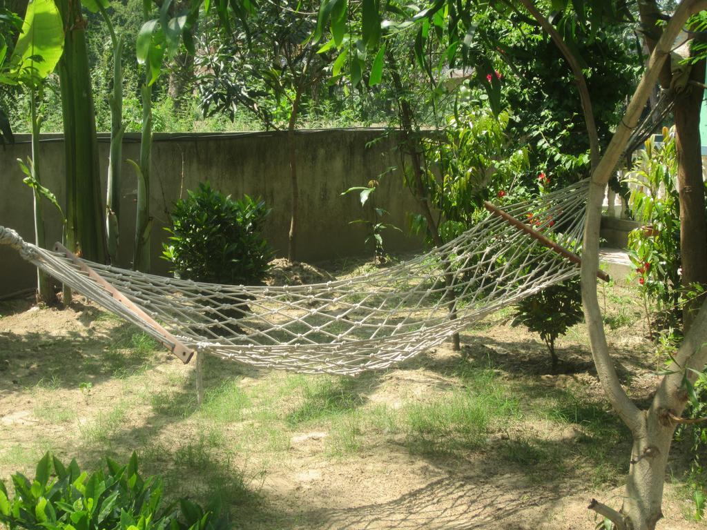 Eco Adventure Resort Sauraha Exterior foto