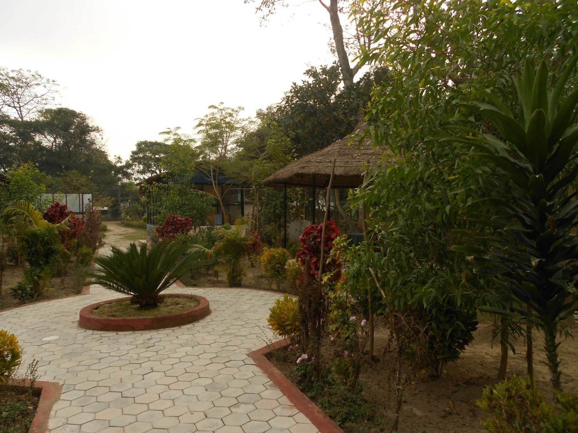 Eco Adventure Resort Sauraha Exterior foto