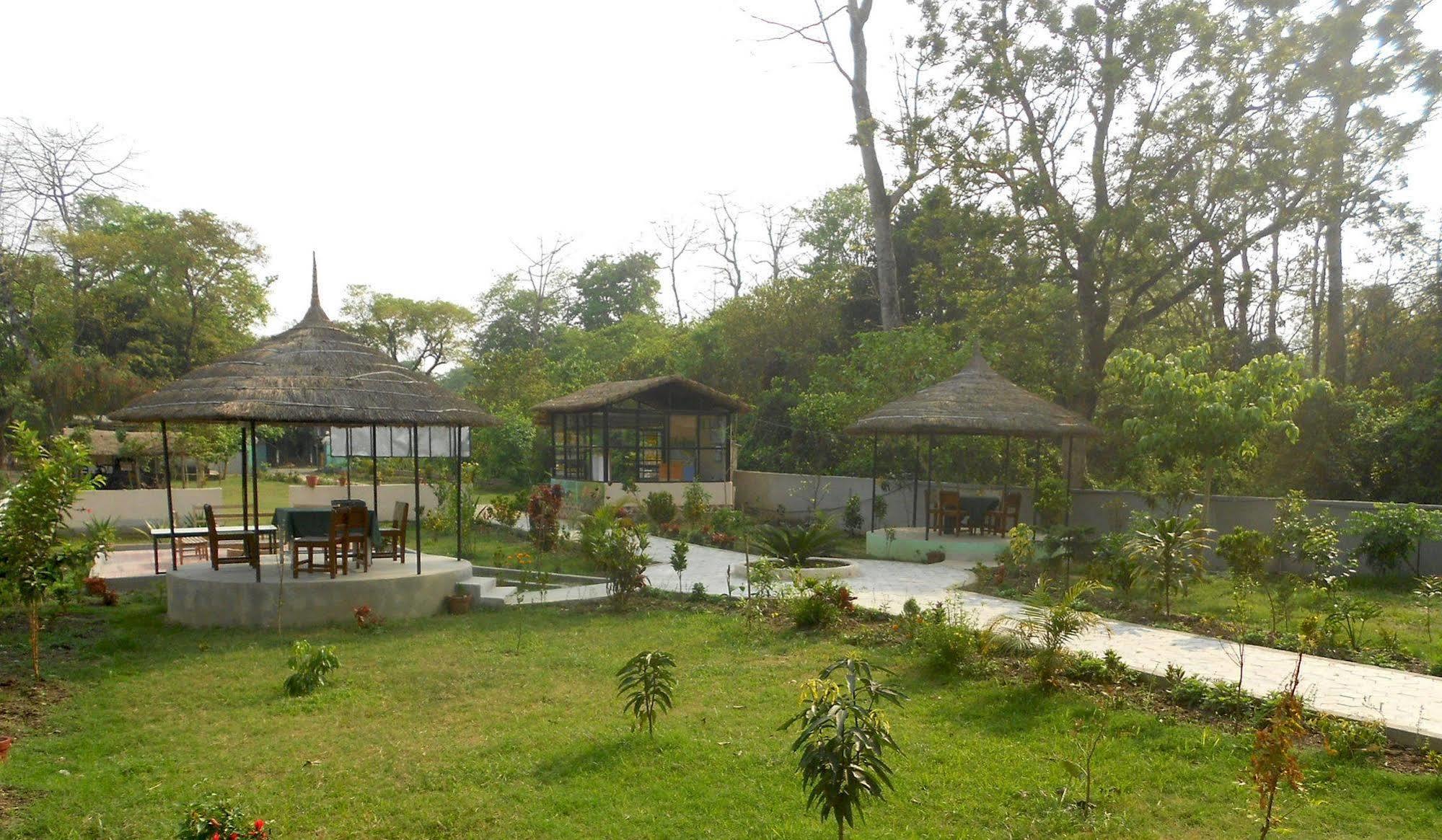 Eco Adventure Resort Sauraha Exterior foto